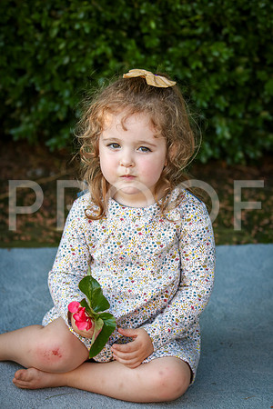 Evans (29 of 35)